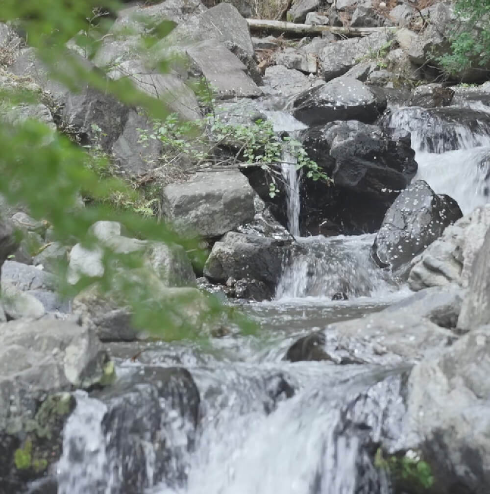 画像：鈴鹿山麓の霊峰から清らかで豊富な水が流れる風景