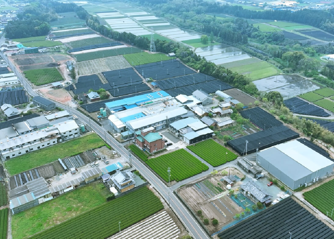 空からの画像：萩原製茶の茶畑