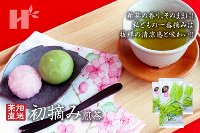 萩村製茶 | 萩村製茶のお茶 - 初摘み 煎茶 新芽の香り、そのままに! 私どもの一番摘みは、抜群の清涼感と味わい!!